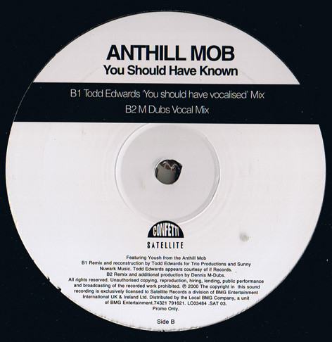 You Should Have Known by Anthill Mob - 12", Promo, UK. 2000. Electronic/UK Garage Very Good Plus (VG+) Very Good (VG) vinyl Nottingham.