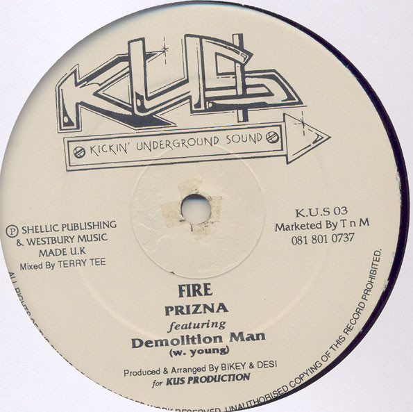 Fire / Natral Hi by Prizna - 12", UK. 1994. Electronic/Jungle Very Good (VG) Generic - vinyl For Sale in Nottingham. - 2