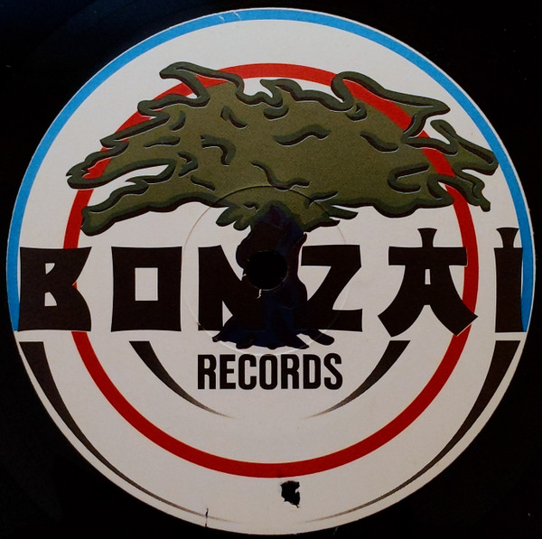 Meet Her At The Love Parade by Da Hool - 12", Italy. 1997. Electronic/Progressive Trance Very Good (VG) Not Graded - vinyl For Sale in Nottingham. - 2