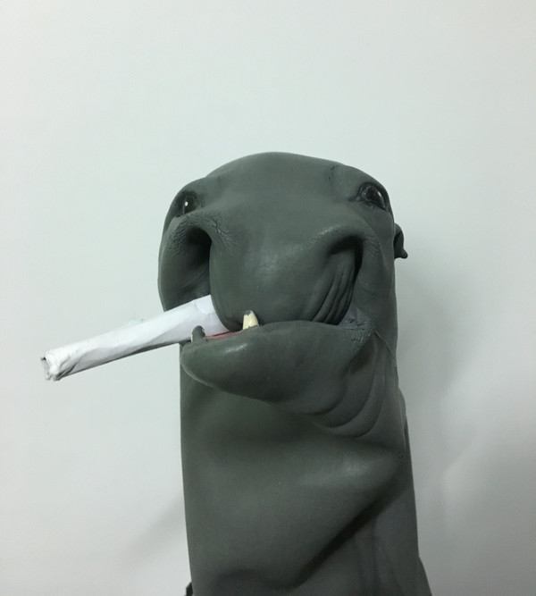 Skratchy Seal image for track Super Seal Breaks 2