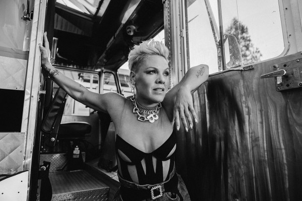 P!nk image for track There You Go (D&B Remixes) 3