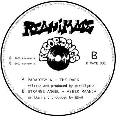 The Dark / Aseer Maanja by Paradigm X / Strange Angel - 12", UK. 2002. Electronic/Drum n Bass Very Good Plus (VG+) Generic - vinyl For Sale in Nottingham. - 2