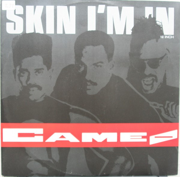 Skin I'm In by Cameo - 12", Single, UK. 1989. Electronic, Funk / Soul/Funk, Disco Very Good (VG) Generic vinyl Nottingham.