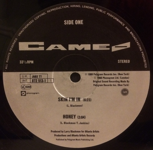 Skin I'm In by Cameo - 12", Single, UK. 1989. Electronic, Funk / Soul/Funk, Disco Very Good (VG) Generic - vinyl For Sale in Nottingham. - 3