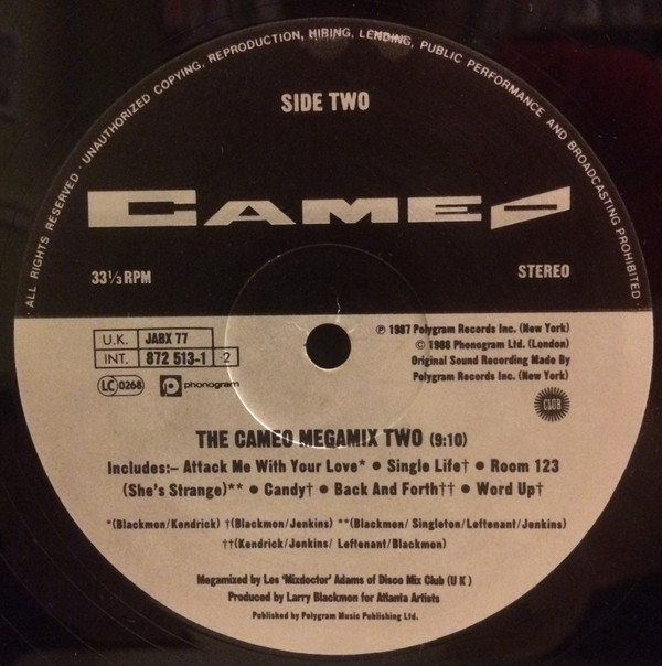 Skin I'm In by Cameo - 12", Single, UK. 1989. Electronic, Funk / Soul/Funk, Disco Very Good (VG) Generic - vinyl For Sale in Nottingham. - 4
