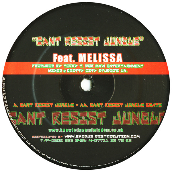 Can't Resist Jungle by Terry Tee - 12", UK. 2002. Electronic/Jungle Very Good Plus (VG+) Generic vinyl Nottingham.