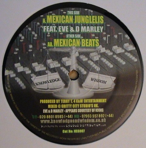 Mexican Junglelis by Terry Tee - 12", UK. 2003. Electronic/Jungle Very Good Plus (VG+) Generic vinyl Nottingham.